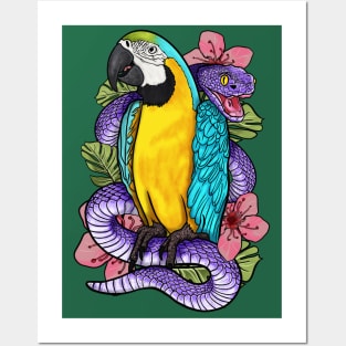 Macaw Like a boss Posters and Art